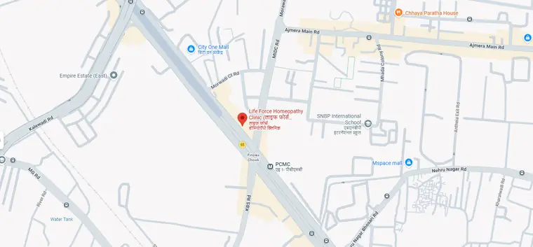 Map showing Life Force Homeopathy Clinic in Pimpri